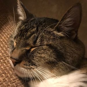 Meet your Posher, Eryn